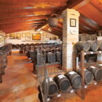 MODENA: BALSAMIC VINEGAR TOUR AND TASTING - What Makes This Tour Special?
