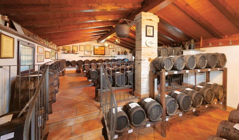 MODENA: BALSAMIC VINEGAR TOUR AND TASTING - What Makes This Tour Special?