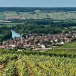 Moet et Chandon Taittigner Private Champagne Day trip from Paris - Who Should Consider This Experience