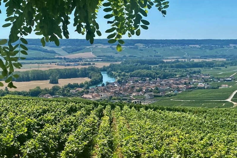 Moet et Chandon Veuve Clicquot Pommery Private Champagne - Exploring Hautvillers and the Home of Dom Pérignon