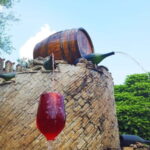 Moldova: Wine tour to Miletii Mici cellar with Tasting - What Makes This Tour Worth Considering?