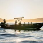 Molène Archipelago: Sea trips departing from Crozon. Seals, dolphins, - Marine Life Encounters: What You Might See