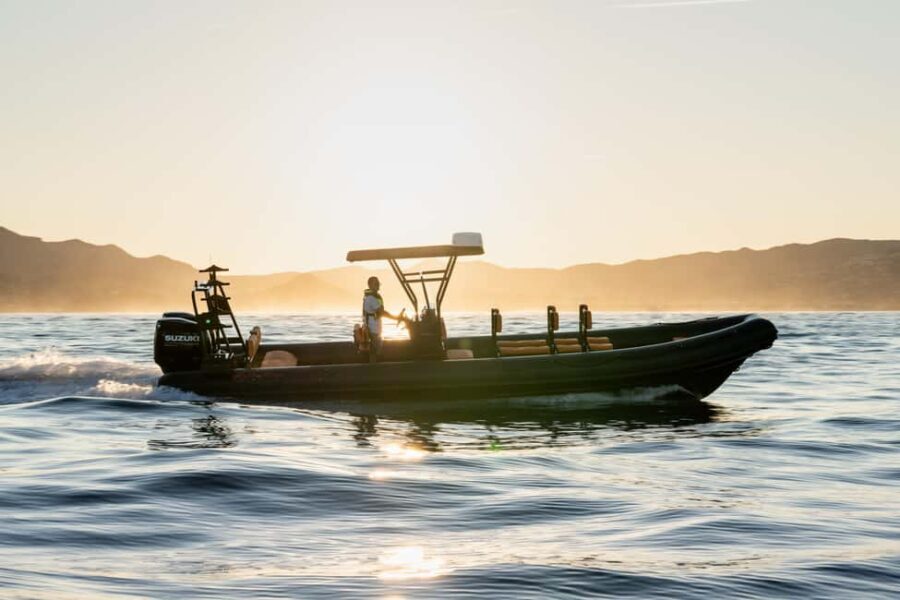 Molène Archipelago: Sea trips departing from Crozon. Seals, dolphins, - Marine Life Encounters: What You Might See