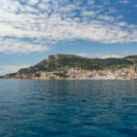 Monaco : Cetacean Watching Boat Cruise - Price and Value