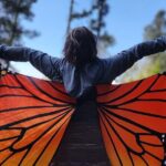 Monarch Butterfly Reserve: Piedra Herrada Magical Valle de Bravo - What’s Included and What You’ll Need to Consider