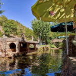 Monchique: Highlights Tour - Exploring Monchique’s Historic Centre