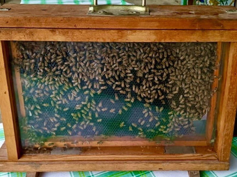 Monferrato: Honey and Mead Tasting Experience - Who Should Consider This Tour?