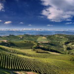 Monforte d'Alba: Picnic & Big Benches - What Makes This Tour Stand Out?