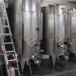 Monforte d'Alba: Wine Tasting, Cellar Visit, and Vineyard Tour - What Sets This Tour Apart