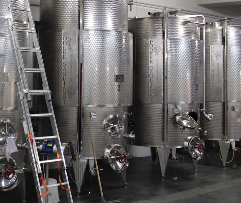 Monforte d'Alba: Wine Tasting, Cellar Visit, and Vineyard Tour - What Sets This Tour Apart