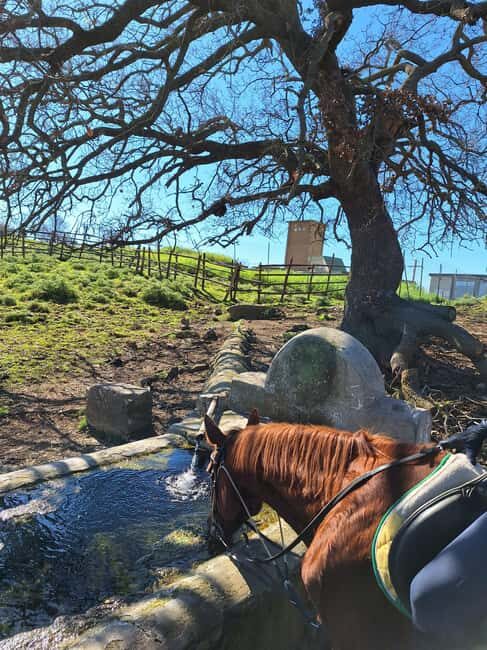 Mongrando: Horseback Ride with Lunch or Dinner - What to Expect from the Mongrando Horseback Experience