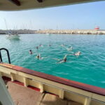 Monopoli-Polignano: sunset boat tour on a traditional wooden boat - What to Expect Onboard