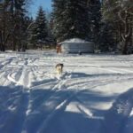 Mont-Tremblant: Dogsledding Nordic Adventure - Final Thoughts