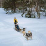 Mont-Tremblant: Dogsledding Upper Laurentians - The Dogs and the Kennel Visit