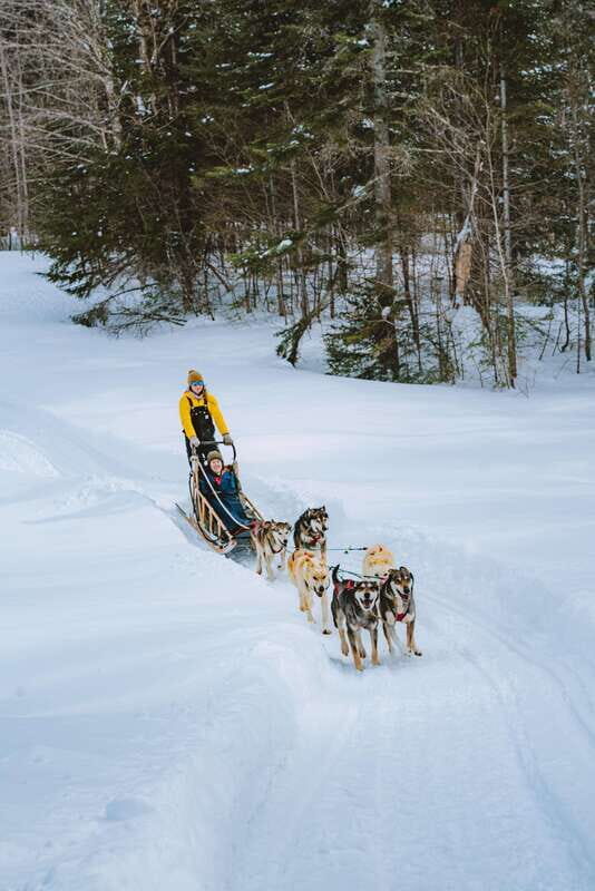 Mont-Tremblant: Dogsledding Upper Laurentians - The Dogs and the Kennel Visit