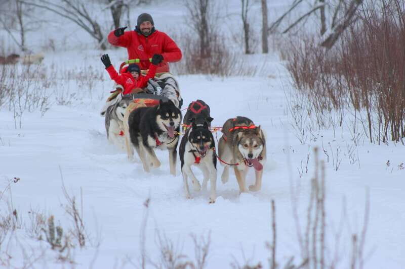 Mont-Tremblant: Dogsledding Valley Adventure - What Makes This Dogsledding Experience Special?