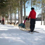 Mont-Tremblant: Guided Dogsledding Tour with Hot Chocolate - The Value of the Experience