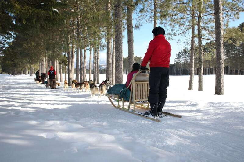 Mont-Tremblant: Guided Dogsledding Tour with Hot Chocolate - The Value of the Experience