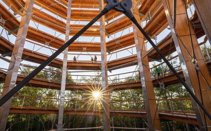 Mont-Tremblant: Treetop Observatory and Self-Guided Walk - An In-Depth Look at the Treetop Walk Experience