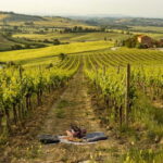 Montalcino: Vineyard Picnic with Rosso di Montalcino Wine - Who Would Love This?