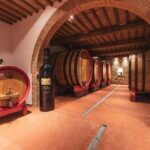 Montalcino: Vinyard Tour with Vertical Brunello Tasting - The Cellar Tour: A Closer Look at Winemaking