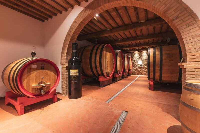 Montalcino: Vinyard Tour with Vertical Brunello Tasting - The Cellar Tour: A Closer Look at Winemaking