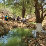 Monte Alban & Atzompa: MTB bike ride though local trails - The Route and Its Highlights