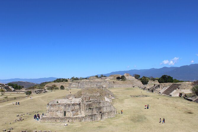 Monte Alban Only - Half Day Guided Tour - Oaxaca - The Sum Up