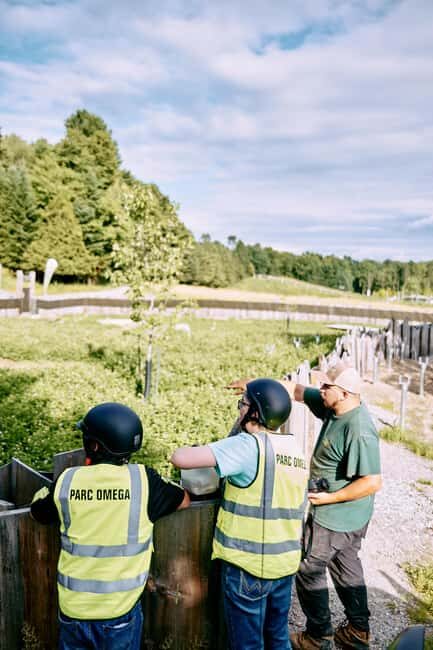 Montebello, QC: Omega Park Guided Animal Feeding in All-Terrain Vehicle - What You Can Expect During the Tour