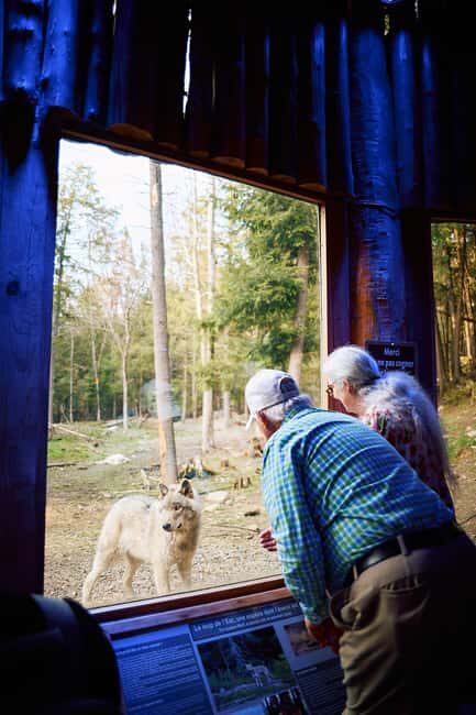 Montebello, QC: Parc Omega Wolves Experience with Cocktail & Guide - FAQ