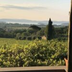 MONTEMELINO RARE WINES SELECTION - Practical Tips
