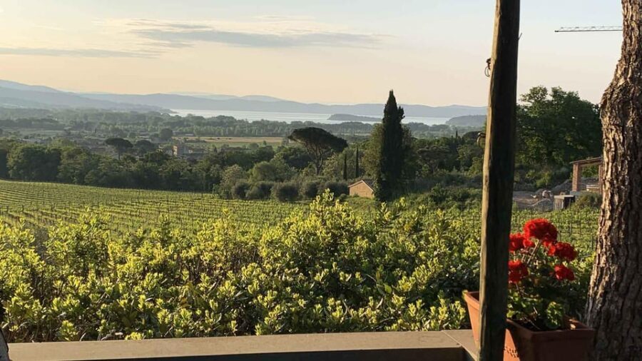 MONTEMELINO RARE WINES SELECTION - Practical Tips