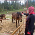 Montenegro Black Lake-Durmitor, Tara (kanyon ,river, bridge) - The Itinerary Breakdown: What to Expect