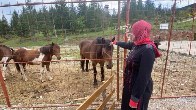 Montenegro Black Lake-Durmitor, Tara (kanyon ,river, bridge) - The Itinerary Breakdown: What to Expect