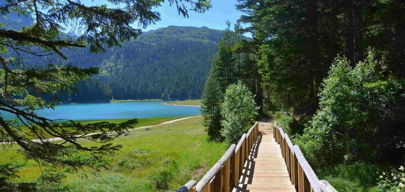 Montenegro Canyons day trip from Herceg Novi - What’s Included and What’s Not?