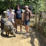 Montepulciano: Pig Farm Tour with Traditional Lunch - Final Thoughts: Who Will Love This Tour?