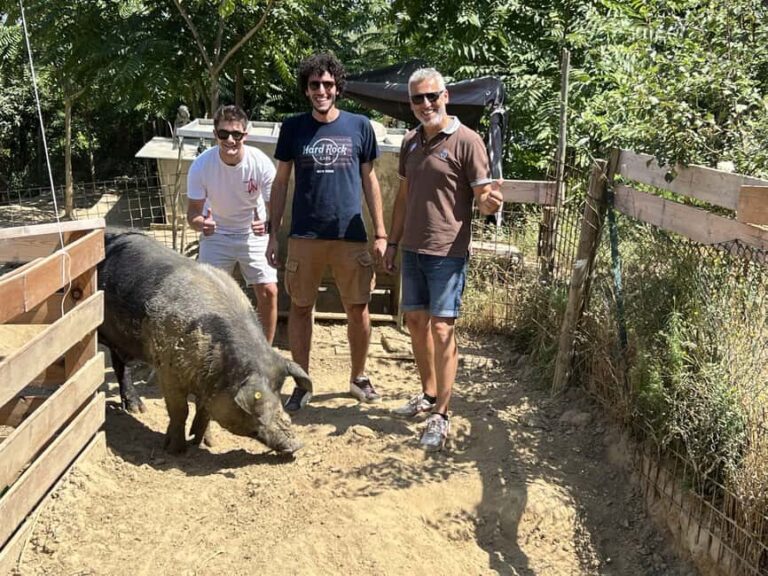 Montepulciano: Pig Farm Tour with Traditional Lunch - Final Thoughts: Who Will Love This Tour?