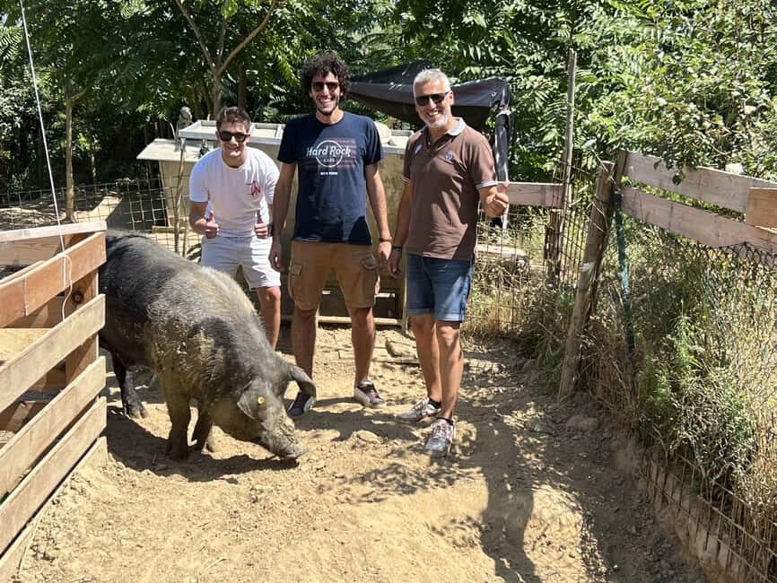 Montepulciano: Pig Farm Tour with Traditional Lunch - Final Thoughts: Who Will Love This Tour?