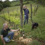 MONTEPULCIANO TASTE OF TUSCANY HEROIC WINES, CRU&LIMITED ED. - What Makes This Tour Stand Out?