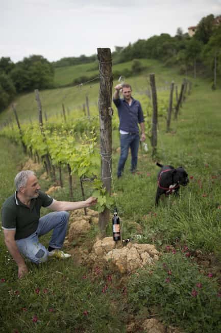 MONTEPULCIANO TASTE OF TUSCANY HEROIC WINES, CRU&LIMITED ED. - What Makes This Tour Stand Out?