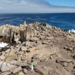 Monterey, Carmel, 17 Mile Dr, Big Sur & Mcway Falls PrivateTour - Who Would Love This Tour?