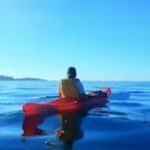 Monterey: Pebble Beach Kayak Tour - Detailed Breakdown of the Itinerary