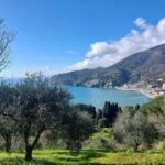 Monterosso Hiking Tour: Discover the Best Trails of 5 Terre - A Truly Scenic Coastal Adventure