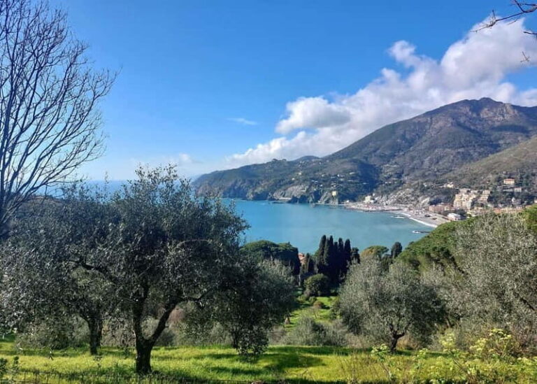 Monterosso Hiking Tour: Discover the Best Trails of 5 Terre - A Truly Scenic Coastal Adventure