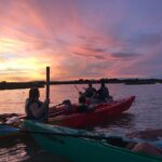 Montpellier : Birdwatching by kayak in Camargue - Logistics: Practical Details for Your Trip