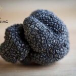 Montpellier: Full day Truffles and Chateauneuf-du-Pape Wines - Is this Tour Worth Its Price?