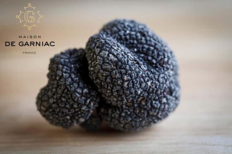 Montpellier: Full day Truffles and Chateauneuf-du-Pape Wines - Is this Tour Worth Its Price?