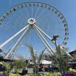 Montreal 3-Hour Private Car Tour with Expert Local Guide - Why This Tour Offers Real Value