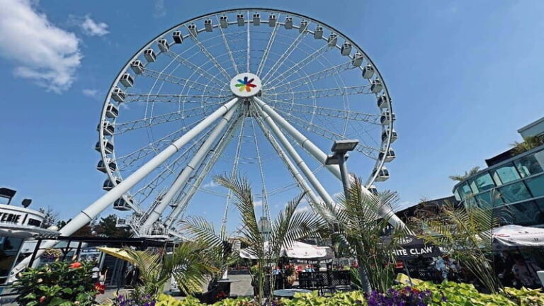 Montreal 3-Hour Private Car Tour with Expert Local Guide - Why This Tour Offers Real Value