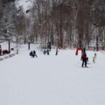 Montreal: Guided Skiing in Quebec Forests - The Overall Experience — Is It Worth It?
